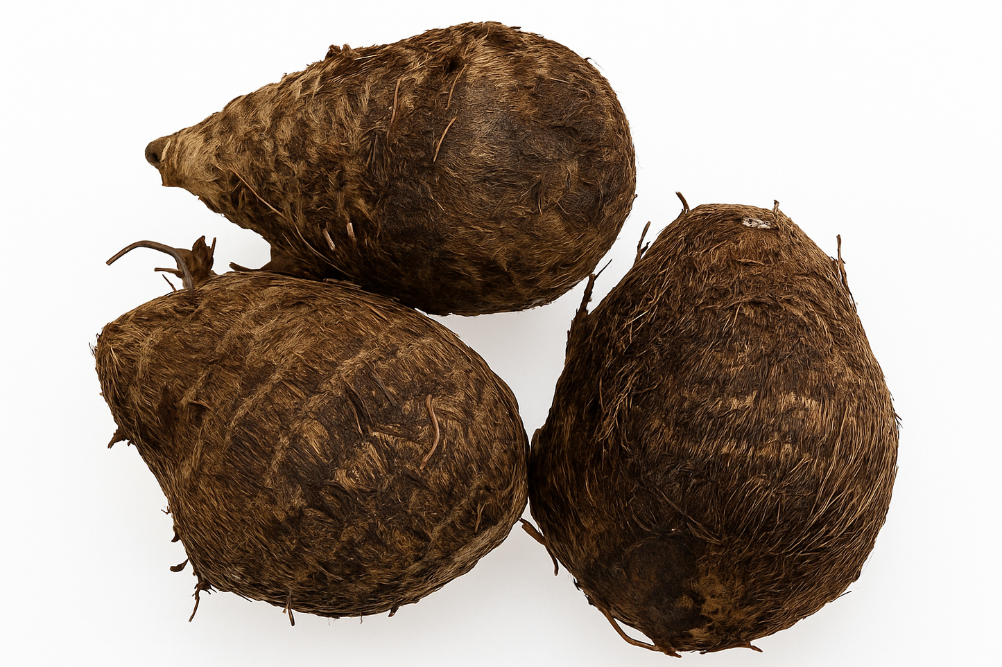 Homejame fresh Taro Wurzel - verkleinert