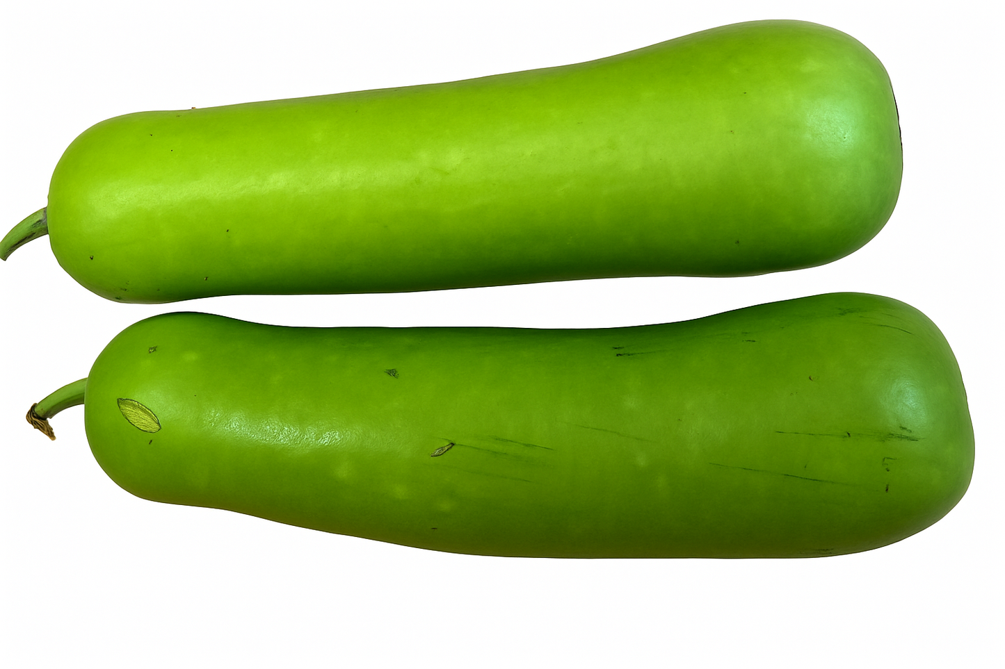 Homejame fresh Lauki/Kadu - verkleinert